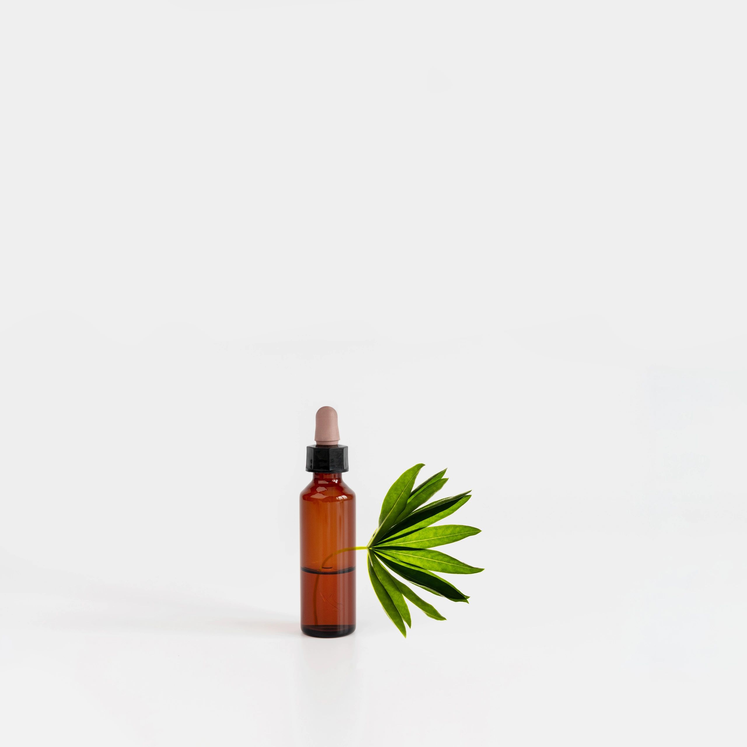 Botanical apothecary bottle with green plant