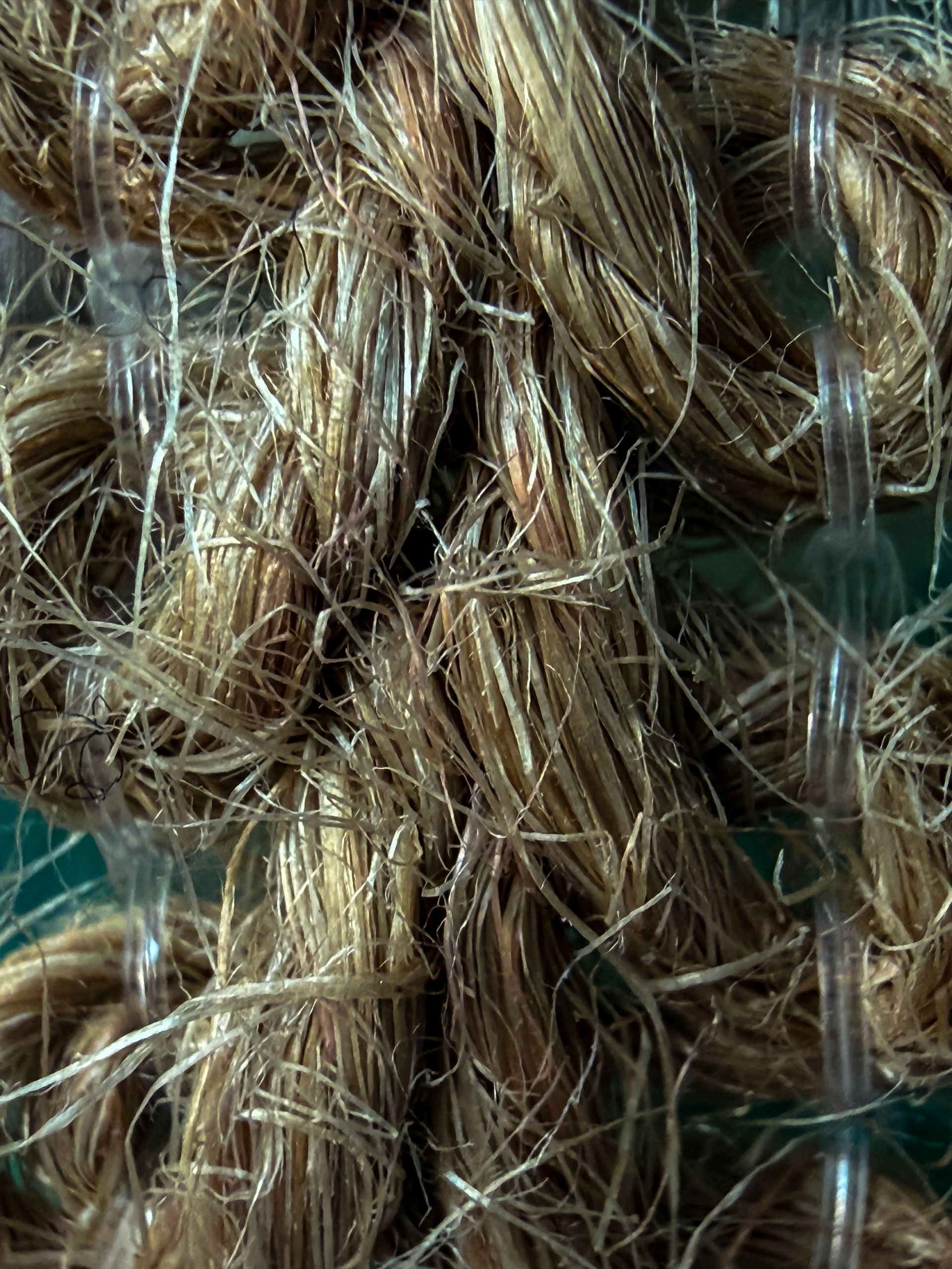 Natural raffia fibers with a warm handmade texture